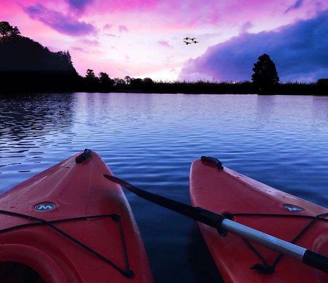 Summer Activities Image