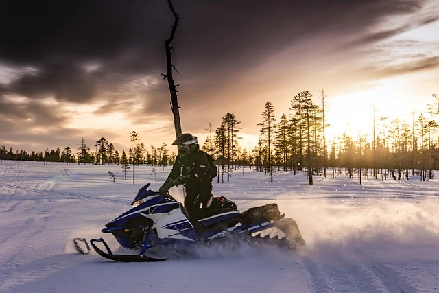Winter Activities Image